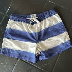 American Eagle Swim Shorts